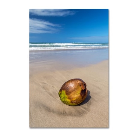 Pierre Leclerc 'Beached Coconut' Canvas Art,16x24